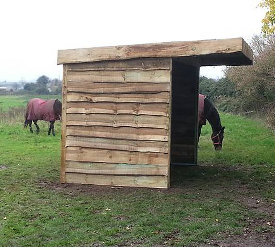 Bespoke chicken coops and runs Bedford and Norfolk