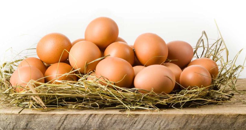 Are your eggs fresh?